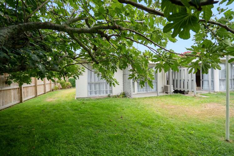 66f Queen Street Cambridge_9