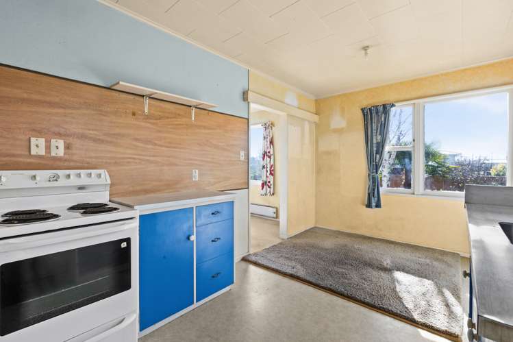 35 Bristol Street Tamatea_5