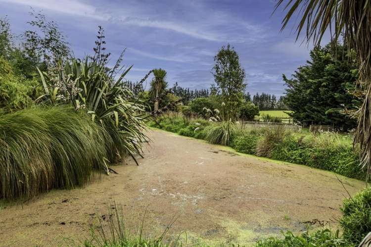 409A Springbank Road Swannanoa_9