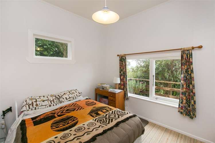 4 Hoggard Street Vogeltown_15