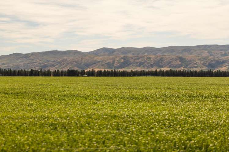 Address withheld Middlemarch_9