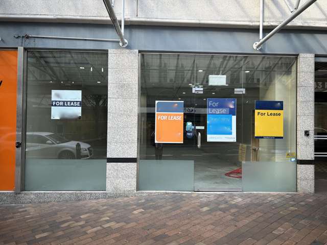 43 Princes Street Dunedin Central_1