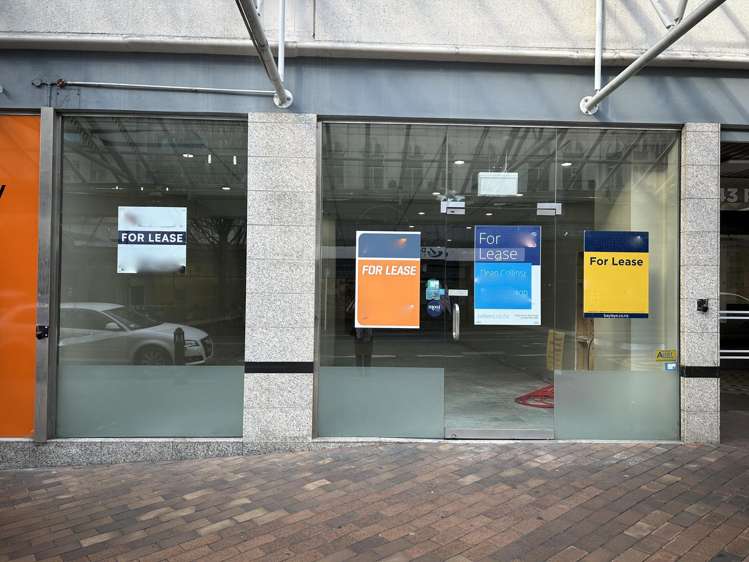 43 Princes Street Dunedin Central_1