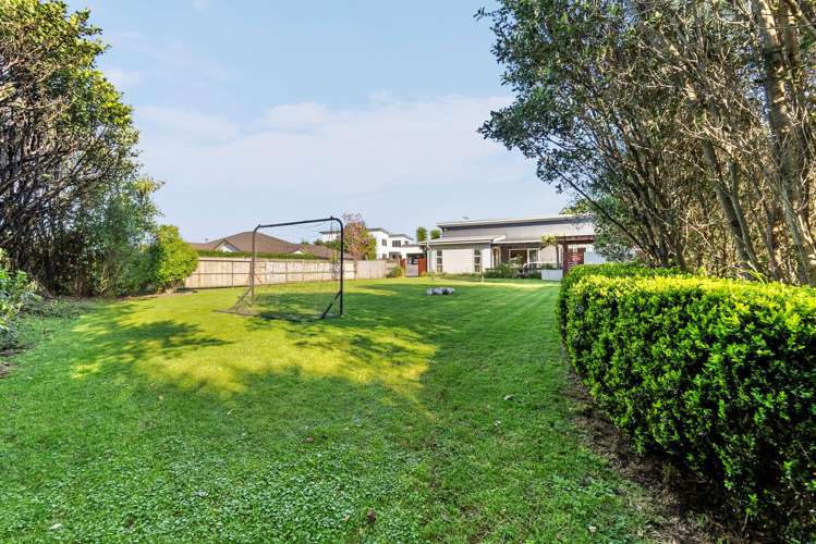 23 Heta Road Highlands Park_15