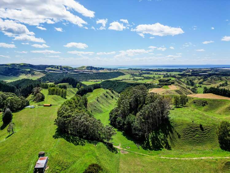 1-6/461 Otamarakau Valley Road Pukehina_21