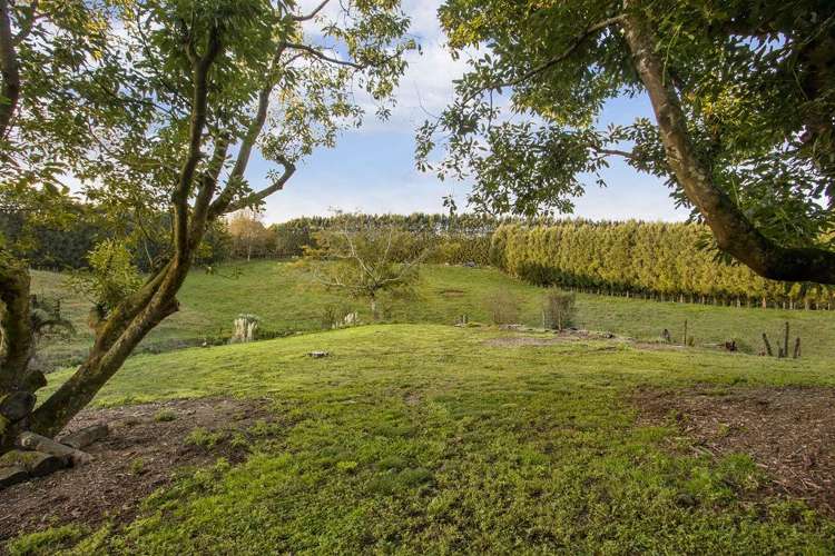 222 Wharawhara Road Katikati_3