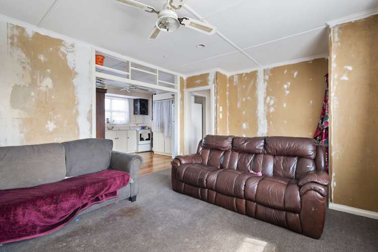 13 Flower Street Bulls_6