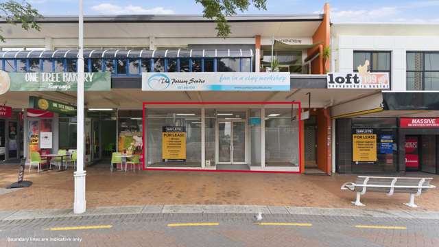 1/109 Devonport Road Tauranga Central_4