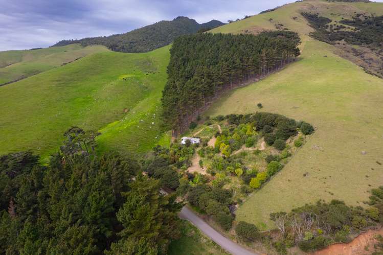 Whaanga Road Raglan_8