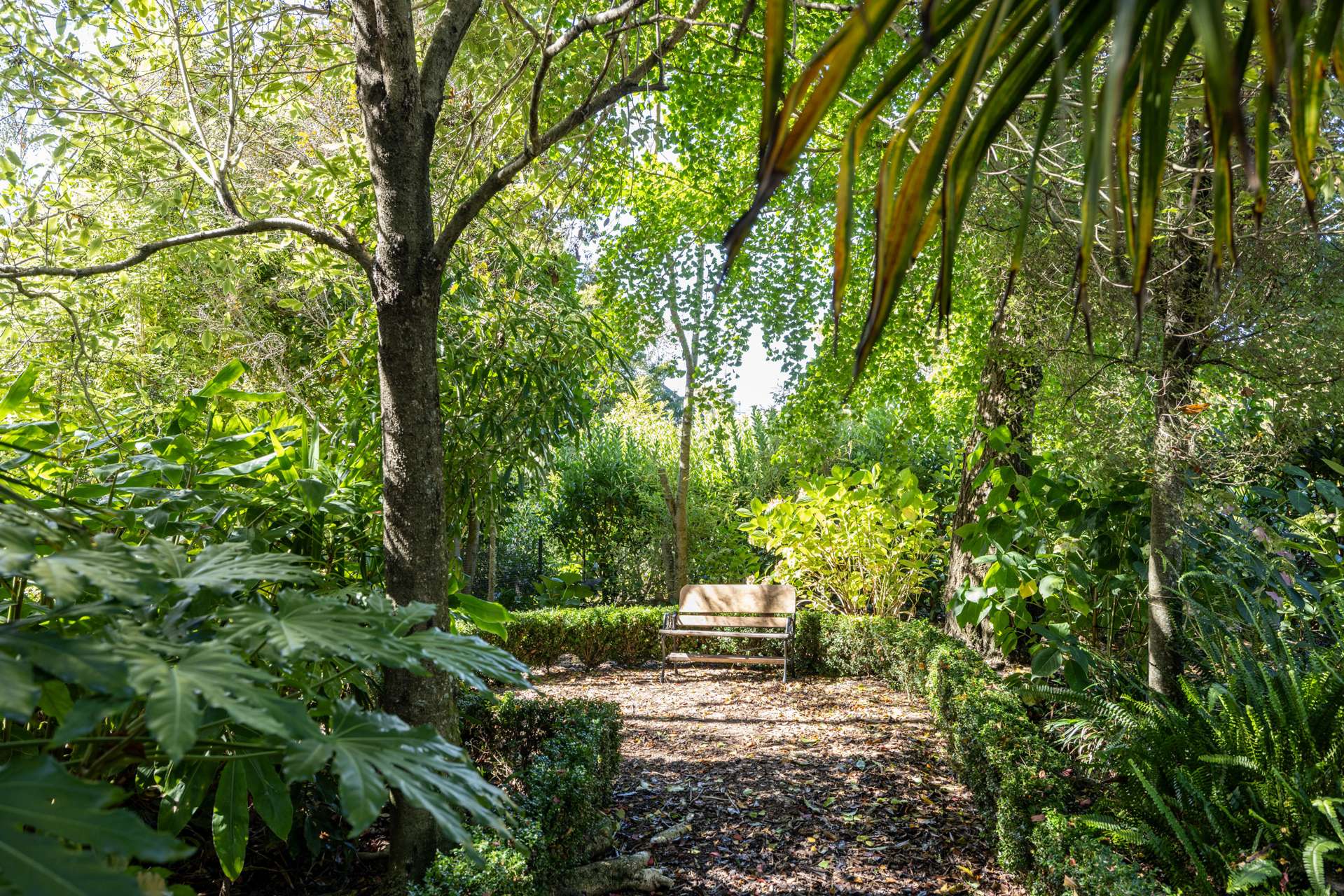 37 Simla Avenue Havelock North_0