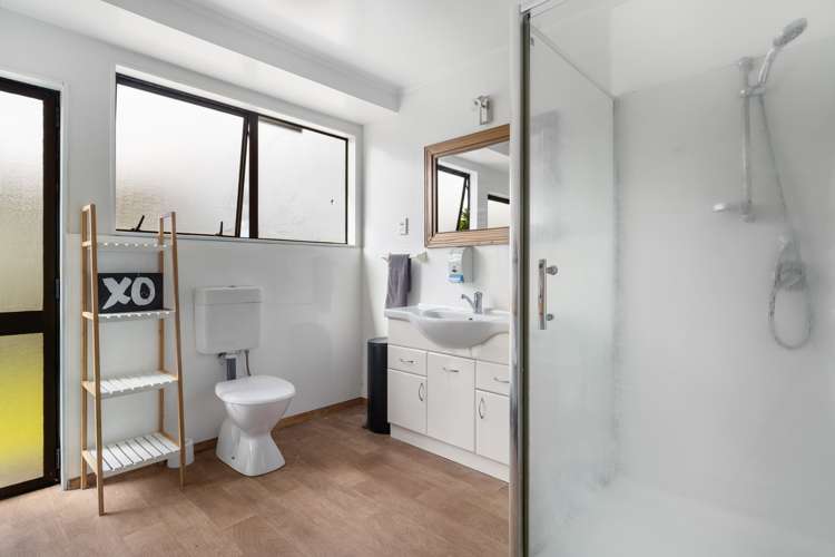 62 Tony Segedin Drive Avondale_11