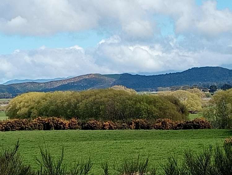 1831 Tuatapere Orepuki Highway_2