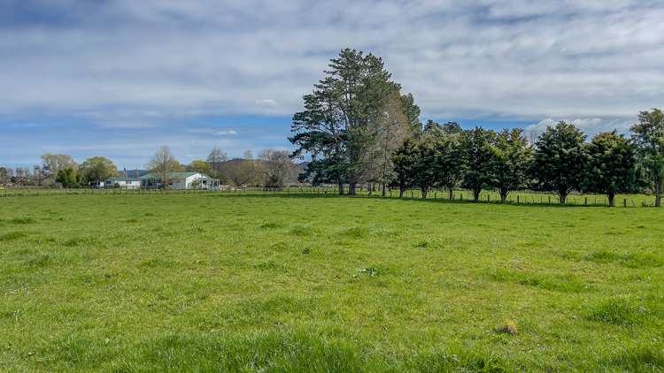 131 Mckenzie Road Mangatawhiri_16