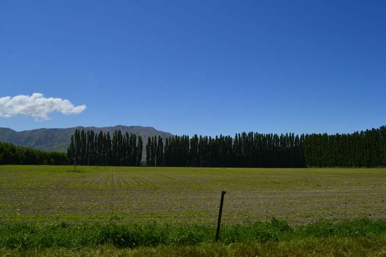 143 Otiake Road Otiake_22