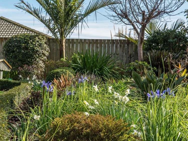 11 Kebbell Drive Waikanae_21