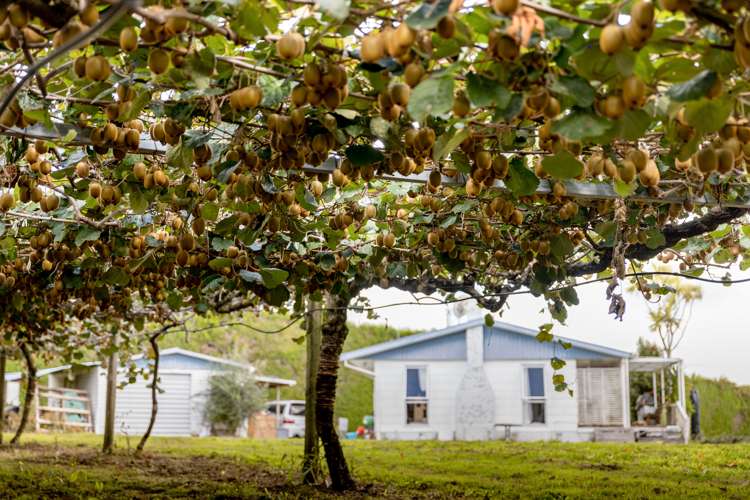 764b Te Matai Road Te Ranga_6