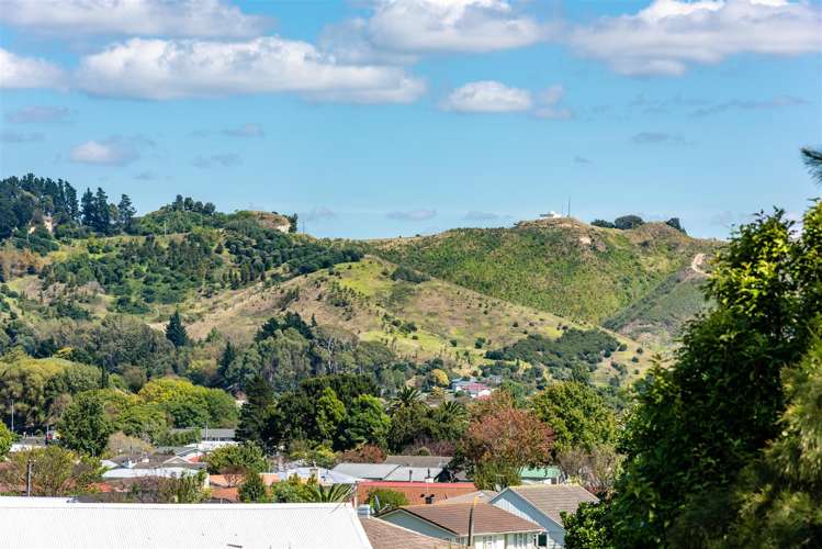 24 Lyell Road Kaiti_6