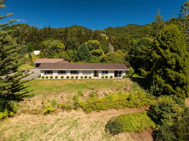 236 Willoughby Road Tahawai_3