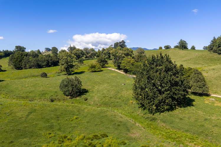 Lot 1/4/366 Karapiro Road Karapiro_24