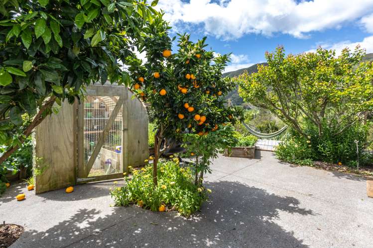 24 Ohaene Drive Thames_26