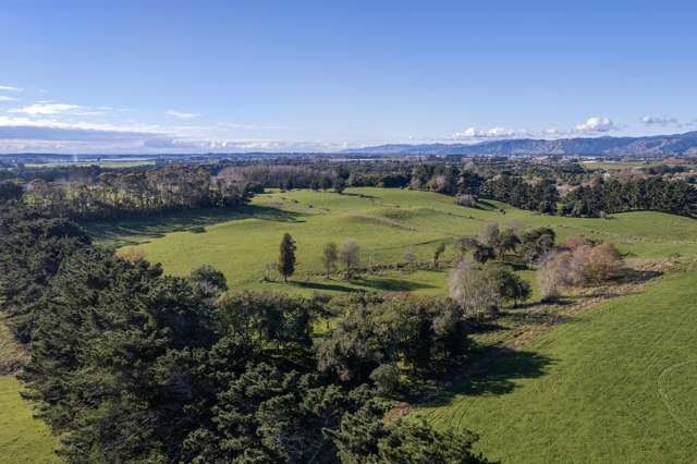 147A Papaitonga Lake Road Ohau_4