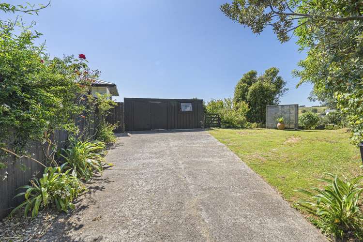 70 Saxton Road Upper Vogeltown_24