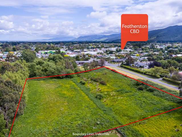 Hickson Street Featherston_2