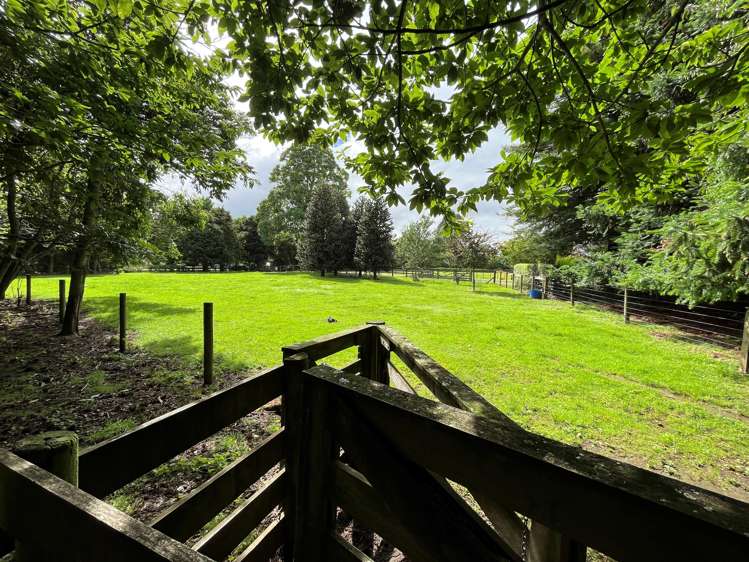 109 Butcher Road Matangi_26