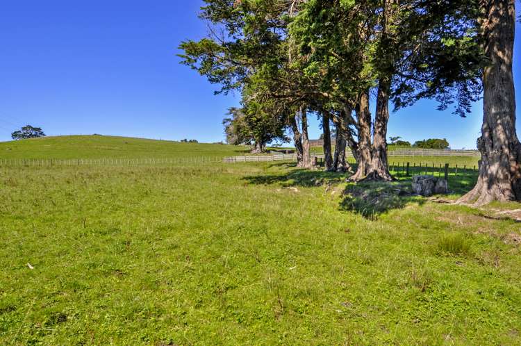 10 Bobs Way Dairy Flat_10