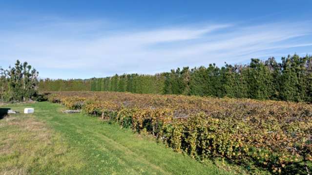 37 Selwyn Road Whakatane Surrounds_4