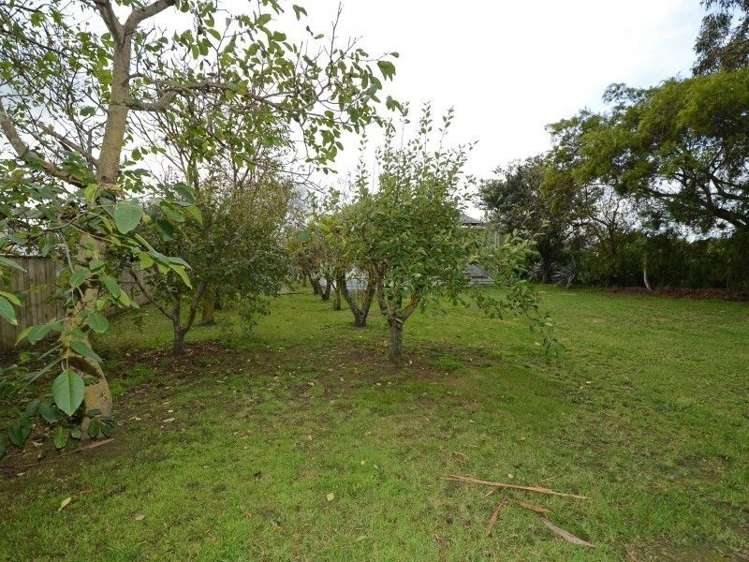 78 Dublin Street Martinborough_21