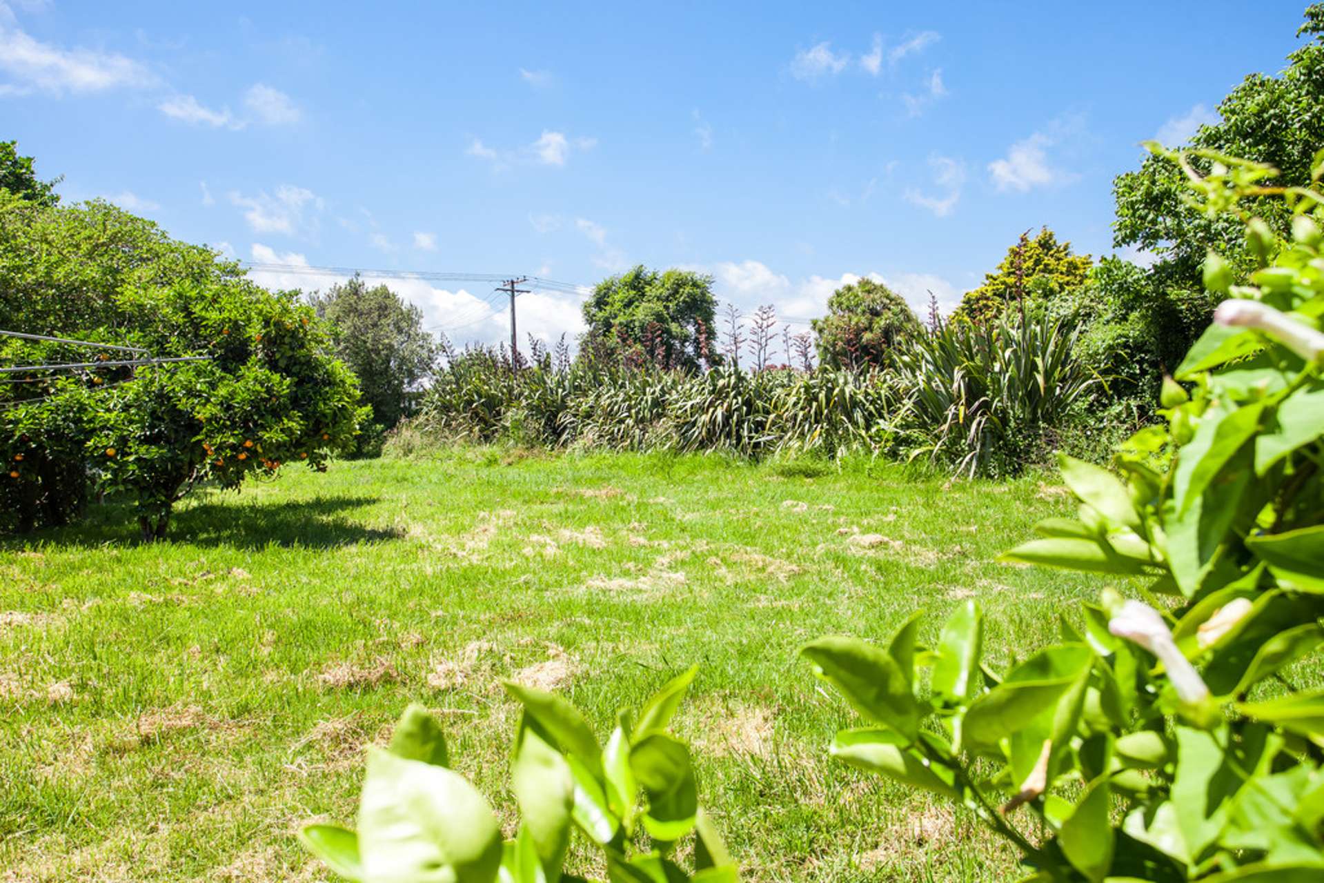 117 Goring Street Opotiki and Surrounds_0