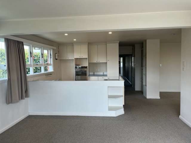 234 Wairakei Road Bryndwr_3