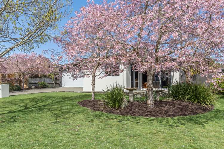 38 Ashmore Crescent Warkworth_23