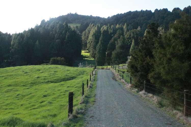 Lot 5 Pungaere Road Kerikeri_11