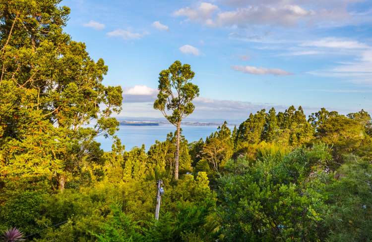 29 Rangiwai Road Titirangi_7