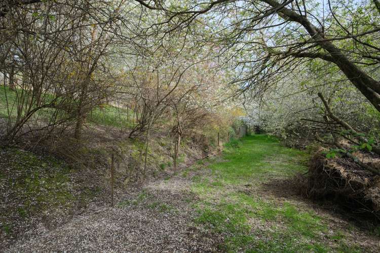 317 Chain Hills Road Chain Hills_4