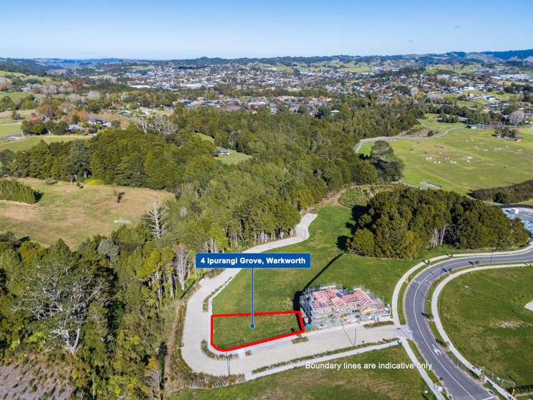 4 Ipurangi Grove Warkworth_10