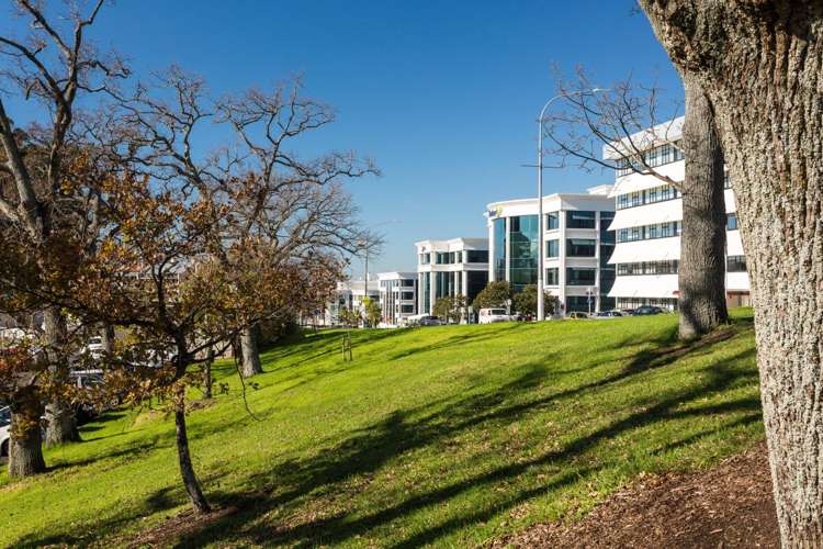 103 Carlton Gore Road Newmarket_13