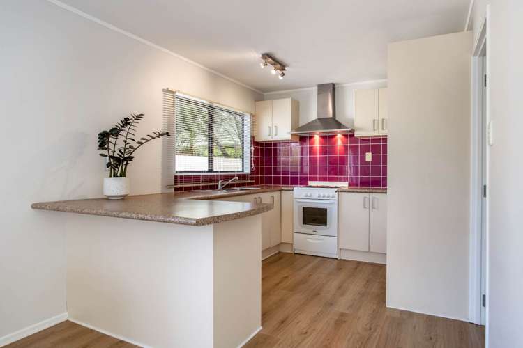 10a Eastdale Road Avondale_5