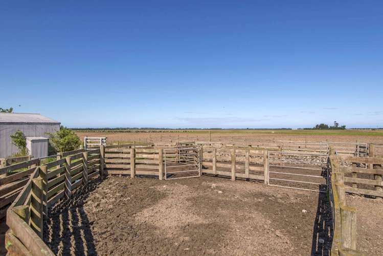 1085 Orton Rangitata Mouth Road Clandeboye_16