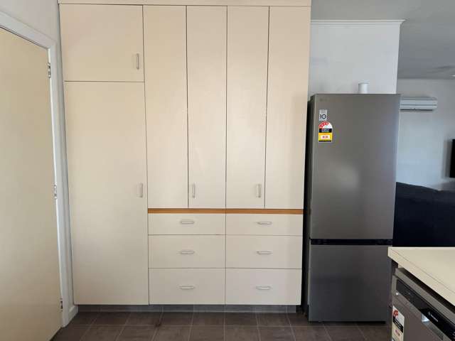 84 Grove Street Tinwald_2
