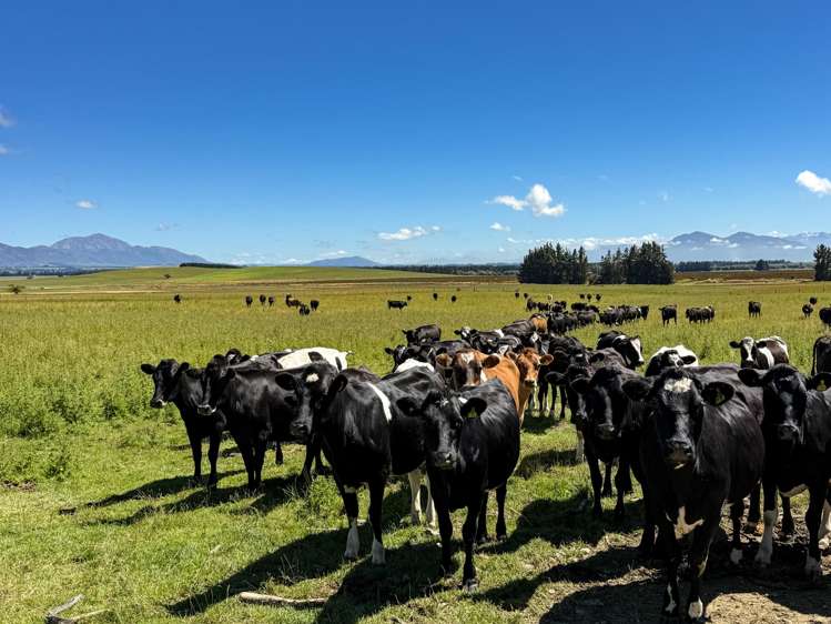 109 Affleck Road Castle Downs_3