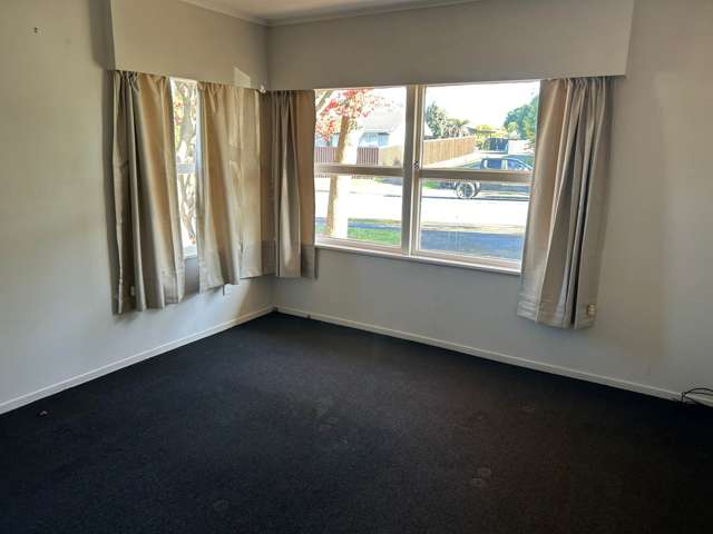 96 Elliot Street Pahurehure_4