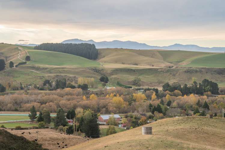 21 Elizabeth Street Timaru_25