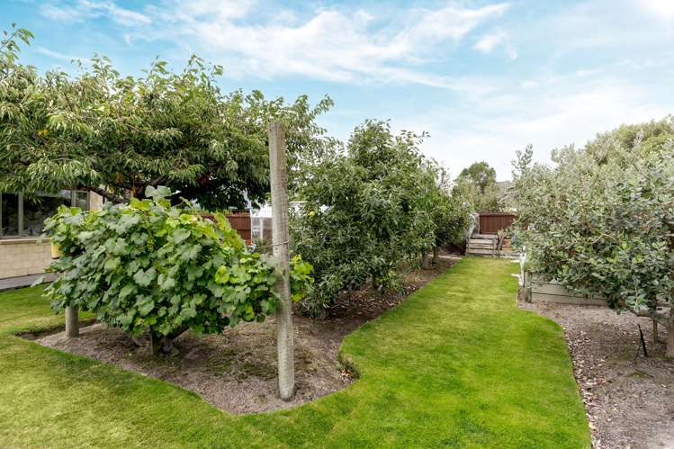 5 Cathcart Crescent Prebbleton_22