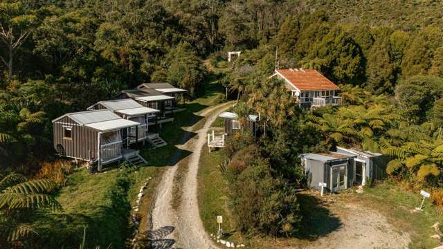 Tui Hill Retreat – lifestyle and opportunity