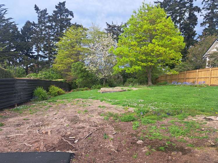 1A Darby Street Geraldine_5