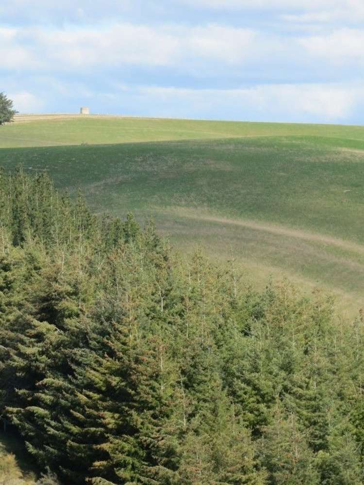 649 Kauru Hill Road Five Forks and Surrounds_29