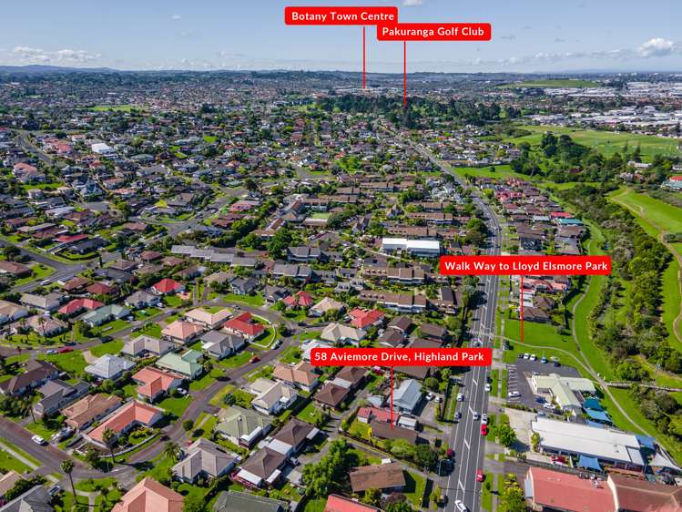 58 Aviemore Drive Highland Park_13